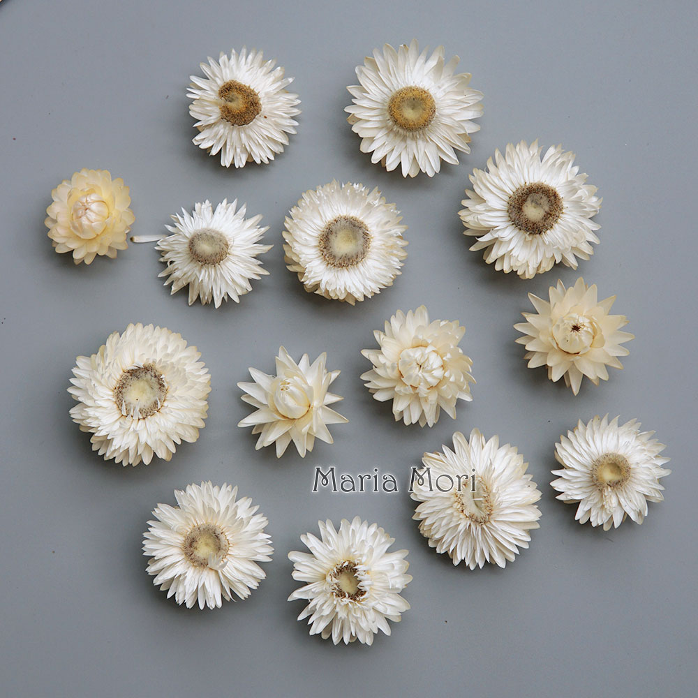 天然のドライでカラフルな菊の花輪,手作りのヘアアクセサリー, - Hair Care Nature のレビューと価格
